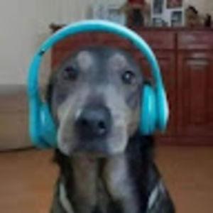 Meet your Posher, Kylie